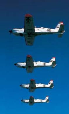 Vol en formation de 4  Arospatiale TB.30 Epsilon de la Force Arienne Portugaise