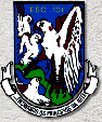 Insigne de l' Esquadra 101